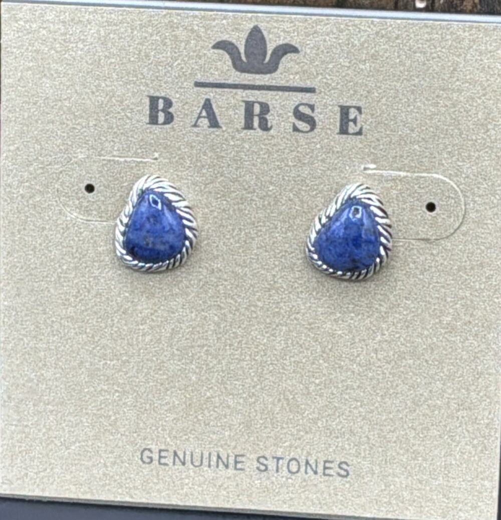 Barse Wrapsody Stud Earrings-Dumortierite Silver- NWT